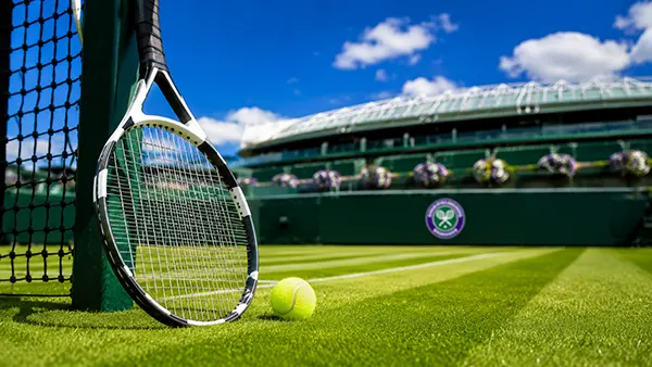 Grass court tennis